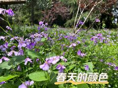 -黄兴公园