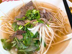 鲜牛肉粉-探越越南牛肉粉(江南西分店)