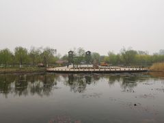 -绿堤公园