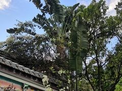 -深圳国际园林花卉博览园