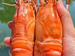 -蟹村草堂·苏式园林人文农家·大闸蟹