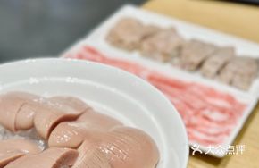 Whole Pig Kidney