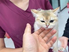 -中农大我爱我爱动物医院·核磁CT·猫病·24小时夜诊中心(石佛营店)
