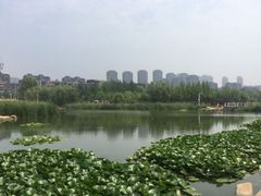 -前关湿地公园