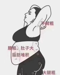 -香薇妮丝女子减肥院