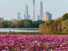 -海珠湖公园