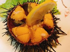 海胆-船歌鱼水饺(高新园区店)