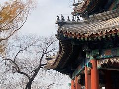 -颐和园