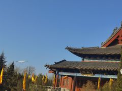 -大槐树寻根祭祖园