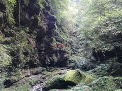 -碧峰峡风景区