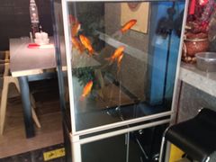 -61度辣馆(通天街店)