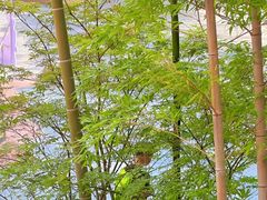 -东坡赤壁风景名胜区