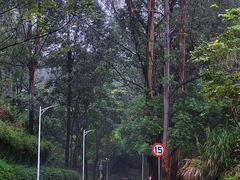 -火炉山森林公园