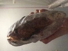 无花果面包-老梦面包 CHEZMOREL(三源里店)