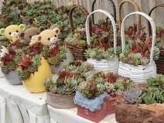 -重庆市江北嘴中央商务区中央公园