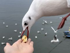 -大理洱海