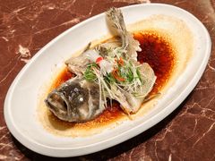 -东方御宴海鲜酒楼(棕泉酒店)