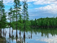 -白鹭湾湿地公园