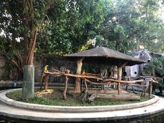 -清迈夜间动物园