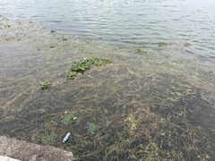 -阳澄湖半岛旅游度假区