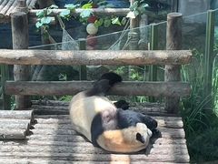 -大连森林动物园