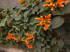 -福州市仓山小学