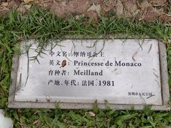 -人民公园(罗湖区)