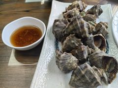 -鲁前海沿儿