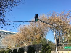 -日本大使馆-新闻文化中心