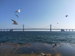 -星海湾跨海大桥