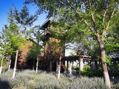 -永定河休闲森林公园