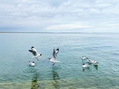 -青海湖国家重点风景名胜区