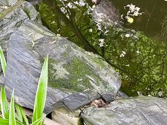 -谷咖啡·鲜花绿植花园餐厅