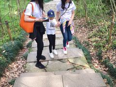 -杭州半山国家森林公园