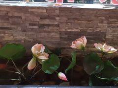-槐乡六门城小馆(洪洞店)