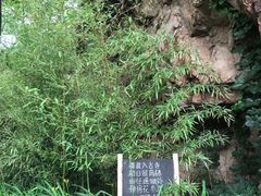-云峰山自然风景区