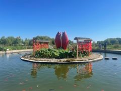 -白洋淀景区