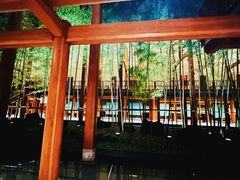 -腾冲和顺柏联酒店