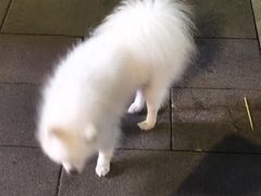 -成都市活水公园
