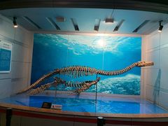 -自贡恐龙博物馆