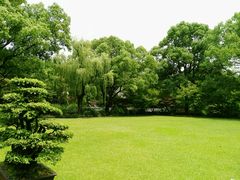 -申粤轩酒楼·三十年粤菜经典(丁香花园店)