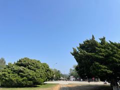 -旅顺博物馆