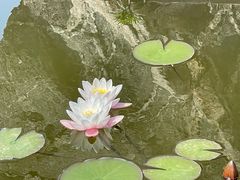 -红岛休闲渔村