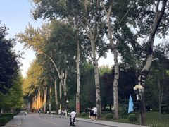 -北京理工大学(中关村校区)