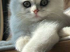 -瑞鹏瑞爱宠物医院·全科·猫科·血液透析中心(龙头寺店)