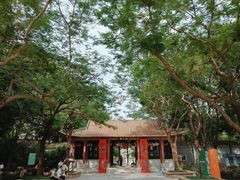-顺峰山公园