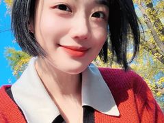 -三里屯东五街银杏大道