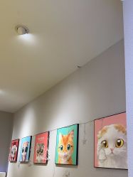 -洗脸猫·洗脸吧