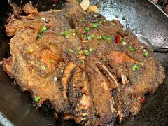 -开海·红岛海鲜虾水饺(石老人店)