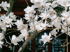 -湛山寺